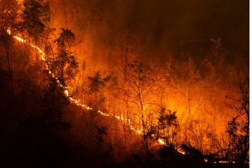 A wildfire burns across a forest area
